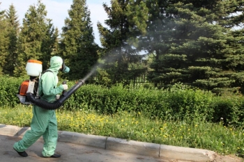 Уничтожение комаров в Лосино-Петровском